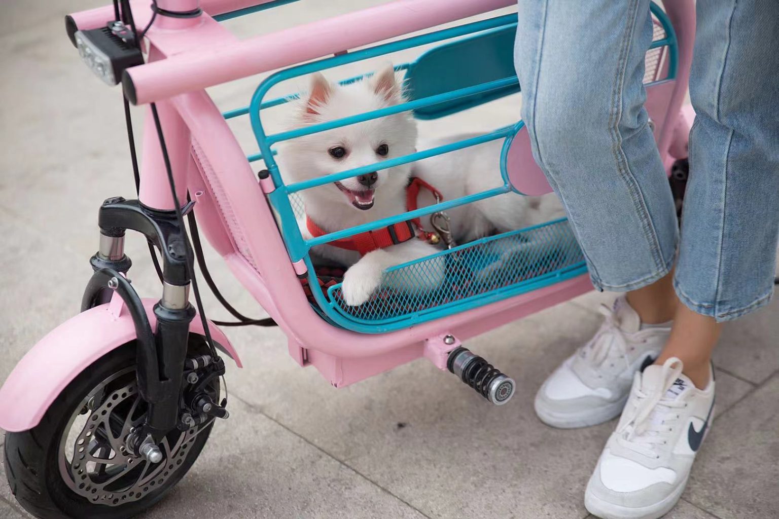 Mopet: Un patinete eléctrico diseñado para viajar junto a tu perro